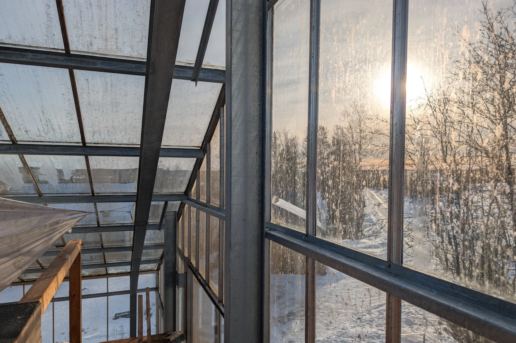 Low winter sun shining through greenhouse glazing and steel beams, with snow and bare trees outside.